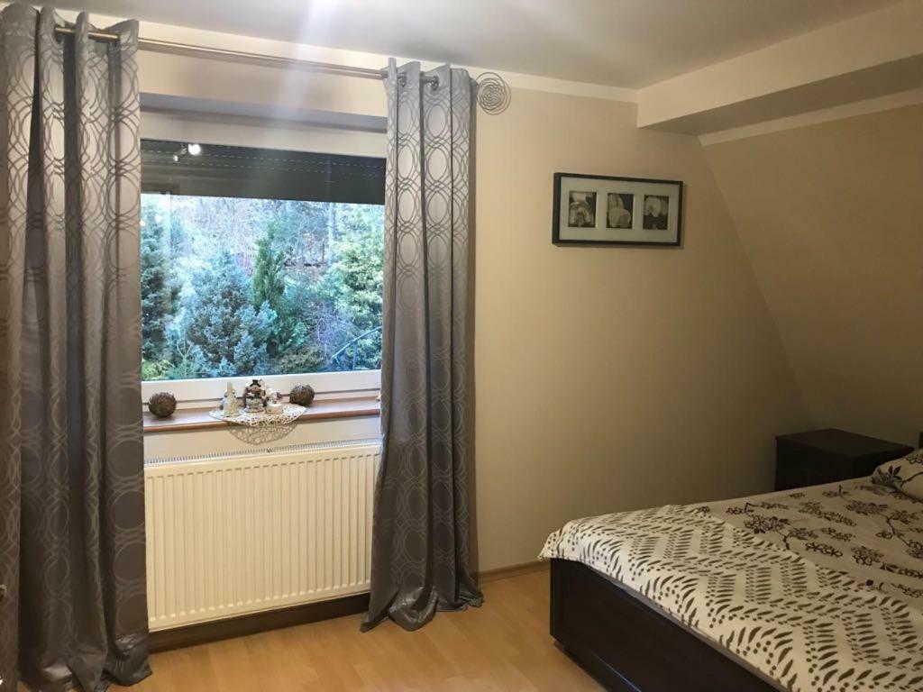 Lesny Dwor Otel Wisła Dış mekan fotoğraf