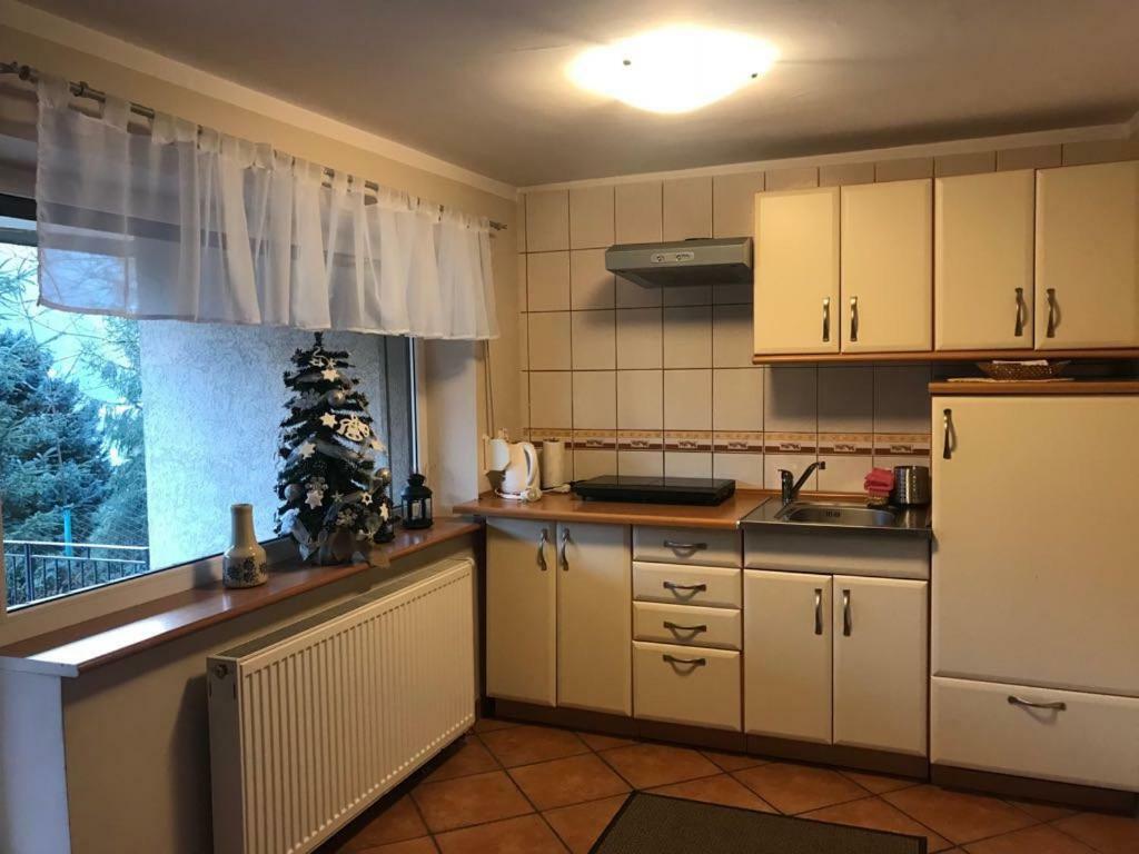 Lesny Dwor Otel Wisła Dış mekan fotoğraf