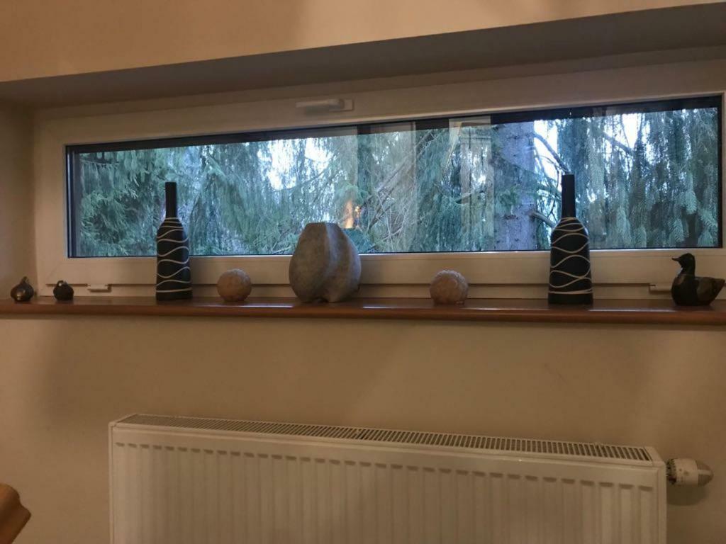 Lesny Dwor Otel Wisła Dış mekan fotoğraf